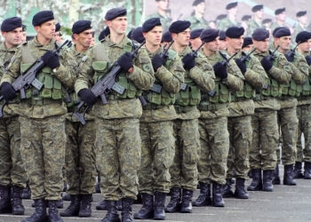 Mehaj nuk jep detaje për blerjen e armatimit ushtarak