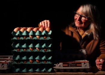 Shtrenjtimi i vezëve i bën banorët e këtij shteti të nxitojnë të blejnë pula online