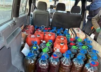 Gjermani: Dogana i konfiskon prodhuesit shqiptar 828 litra vaj ulliri kontrabandë