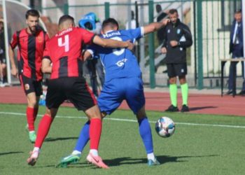 Drenica thellon krizën e Dritës