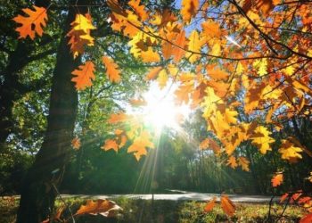 Parashikimi i motit për ditën e sotme